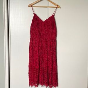 Nicole Miller Stunning lace below knee dress